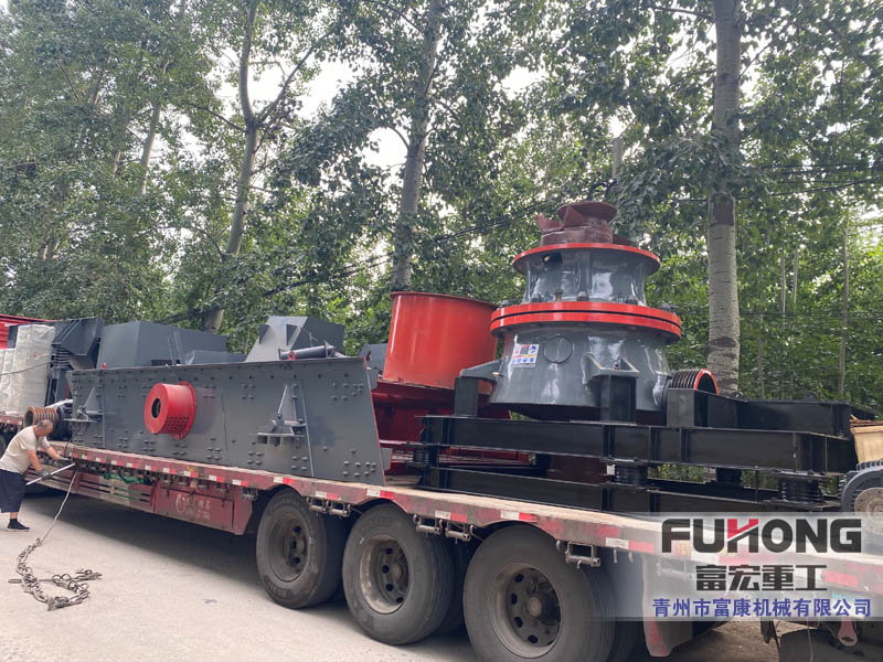 固定式圆锥草莓视频在线免费设备发往上海